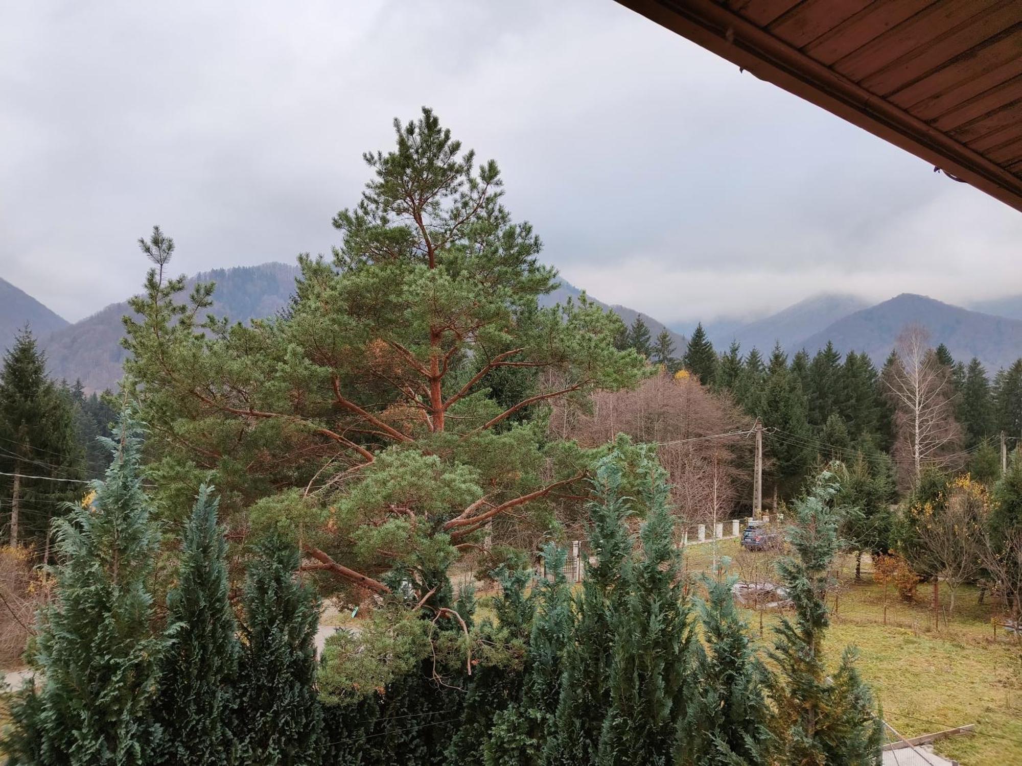 Casa Dintre Meri Poiana Mărului Exteriör bild